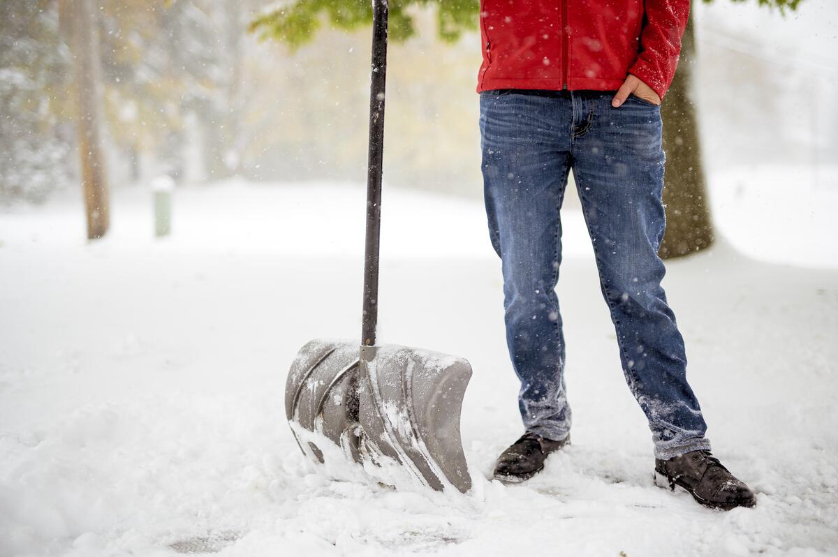 Garten winterfest machen: Die ultimative Checkliste