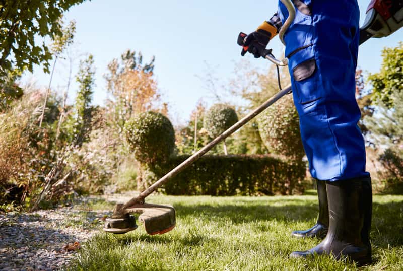 Frisch verlegter Rollrasen in einem Garten