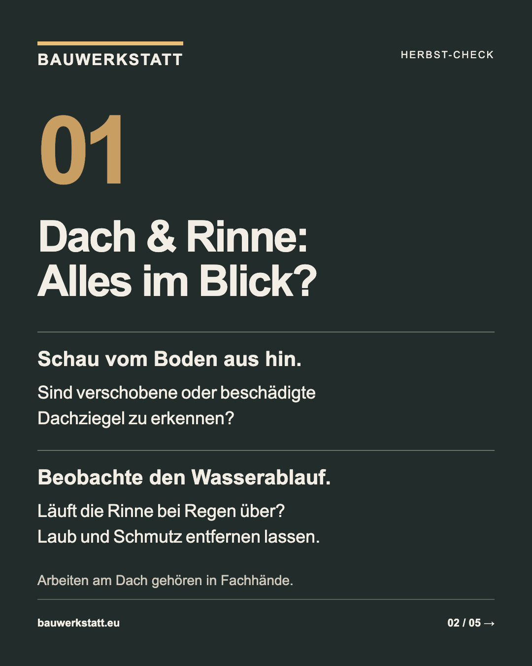 Herbsttipp: Dach und Dachrinne vom Boden aus prüfen