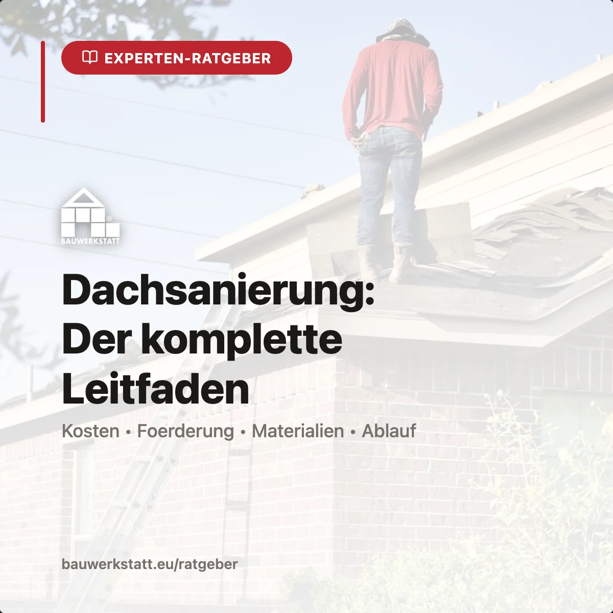 Ratgeber Sanierung – Tipps & Förderung